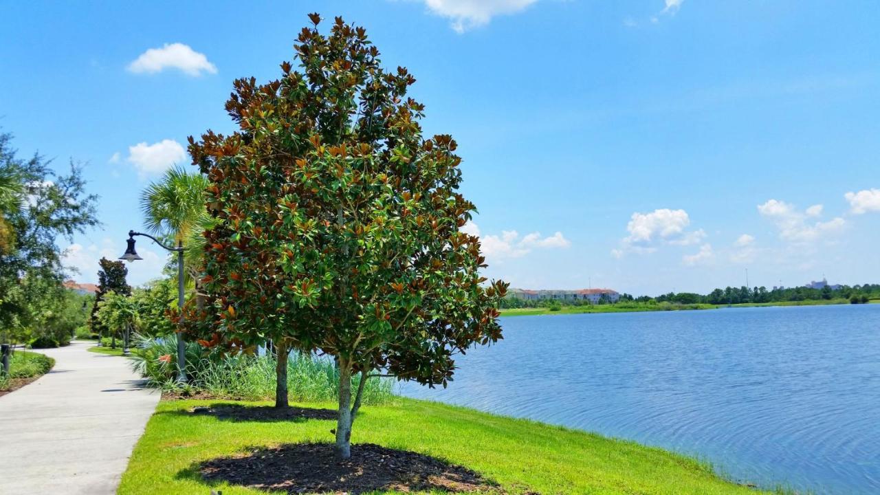 Beautiful Pet Friendly Condo Near Pool Orlando Esterno foto